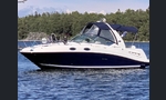 Sea Ray 275-kuva-1